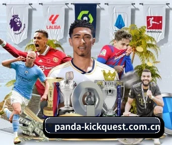 熊猫体育试玩 APP - Panda Sports