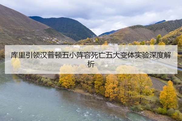 ku-li-yin-ling-han-pu-dun-wu-xiao-zhen-rong-si-wang-wu-da-bian-ti-shi-yan-shen-du-jie-xi-2-599.jpg